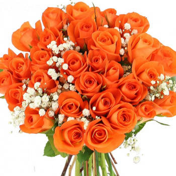 Букет из 35 оранжевых роз с гипсофилой